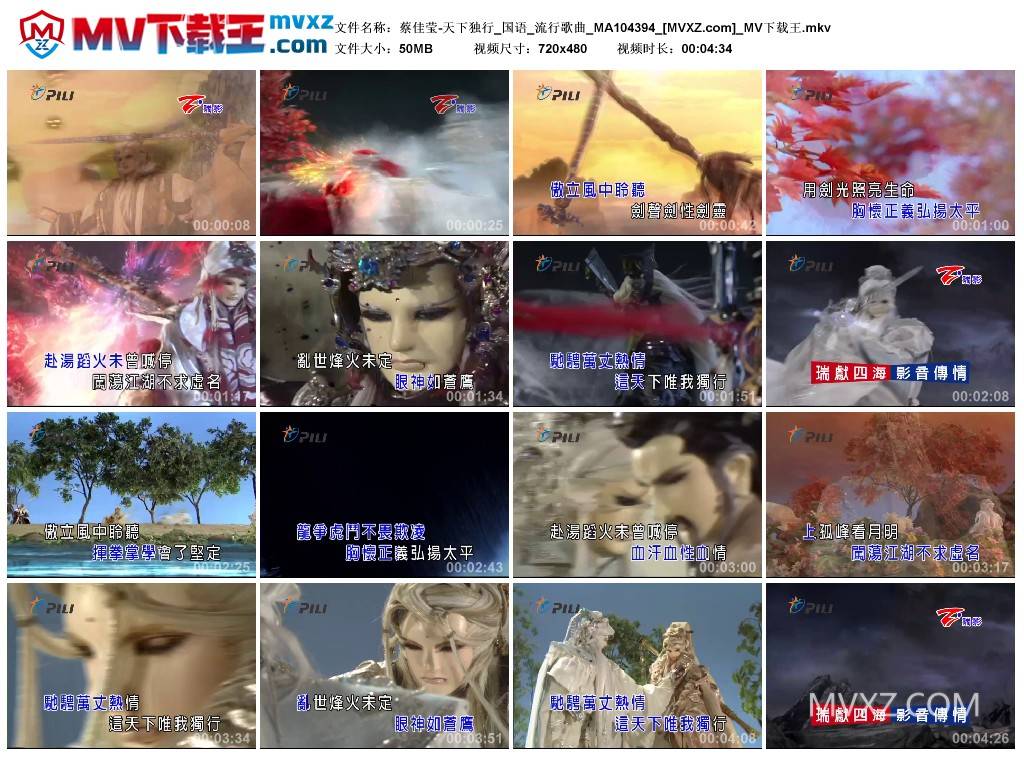 蔡佳莹-天下独行_国语_流行歌曲_MA104394